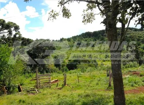 30 alqueires em Guarapuava Pr | Dupla Aptidão