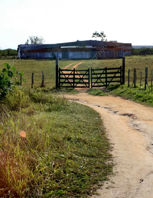 Fazenda Curucaca