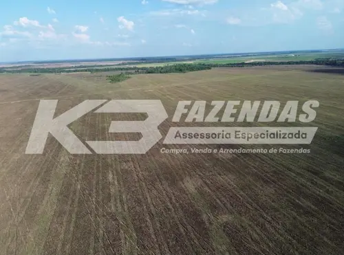 1.383 há com 950 há de lavoura em Tailândia Pa