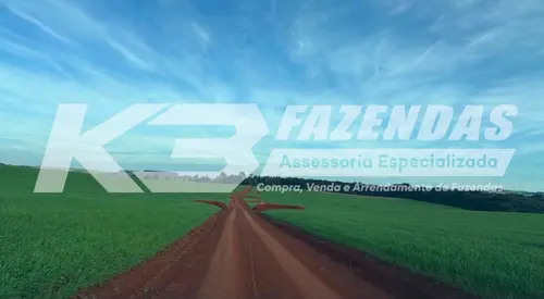 300 alqueires com 175 em lavoura nos Campos Gerais do Paraná