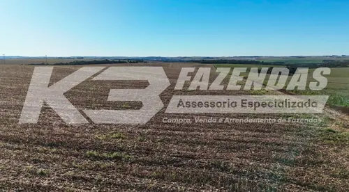 105 alqueires com 87 em lavoura | 60 km de Cascavel Pr