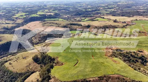 485 Alqueires | Norte de SC | Dupla Aptidão