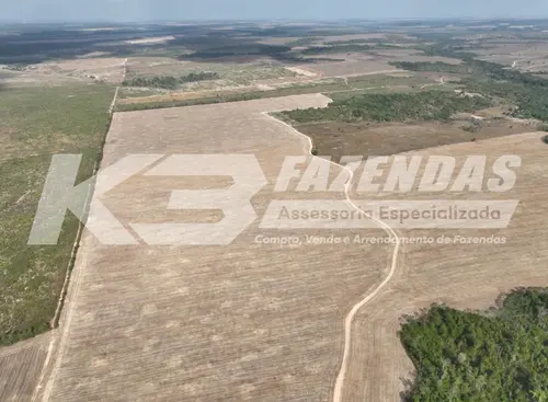 390 há formado em lavoura | Paragominas Pa | Permuta por Fazenda no Pr e Ms.