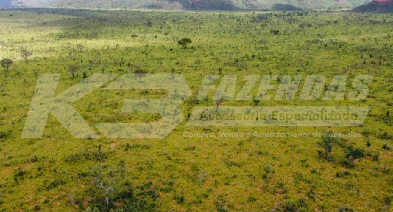 Fazenda no Tocantins | Dupla Aptidão | Permuta por fazenda no Paraná