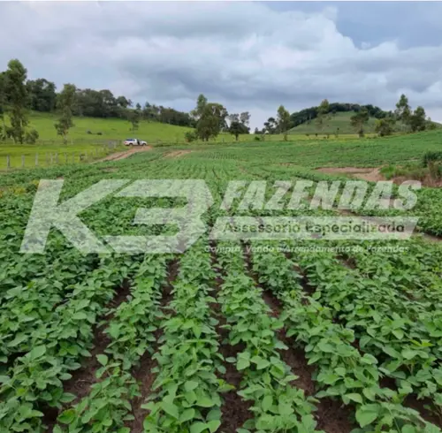 OPORTUNIDADE ESTRATÉGICA | FAZENDA DUPLA APTIDÃO – RESERVA PR.