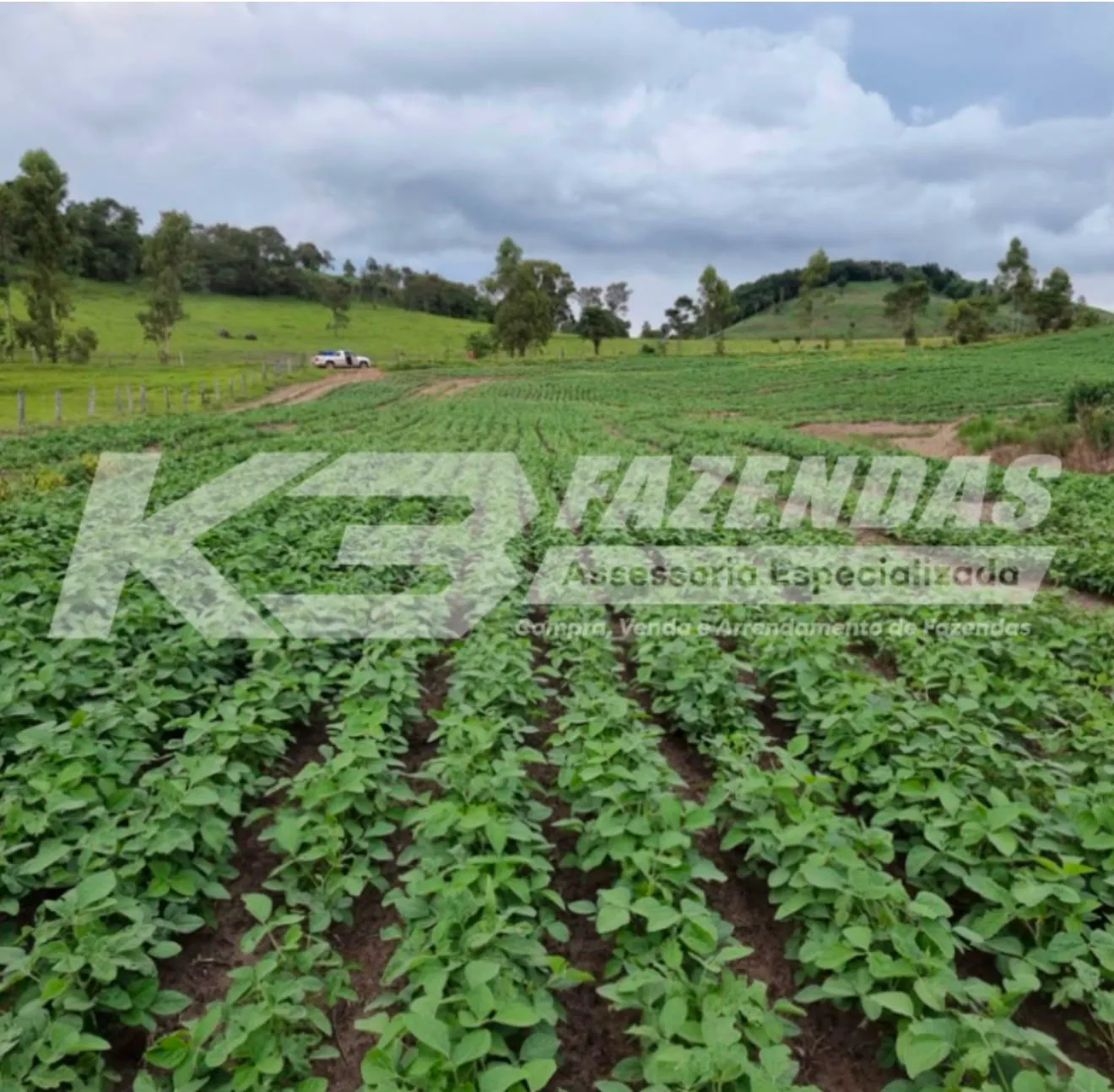 OPORTUNIDADE ESTRATÉGICA | FAZENDA DUPLA APTIDÃO – RESERVA PR.