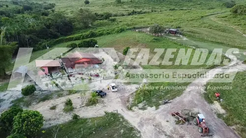 FAZENDA  FORMADA NA PECUÁRIA | GOIANÉSIA DO PARÁ – PA