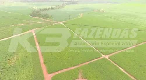 4327 HÁ, COM 2850 HÁ CONSOLIDADO | ULIANÓPOLIS PA