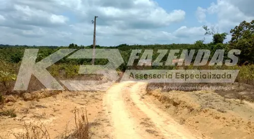 7628 HÁ | 2706,5 HÁ CONSOLIDADOS | PRÓXIMO A USINA DE ETANOL | ULIANÓPOLIS PA I PERMUTA POR IMÓVEIS NA REGIÃO SUL