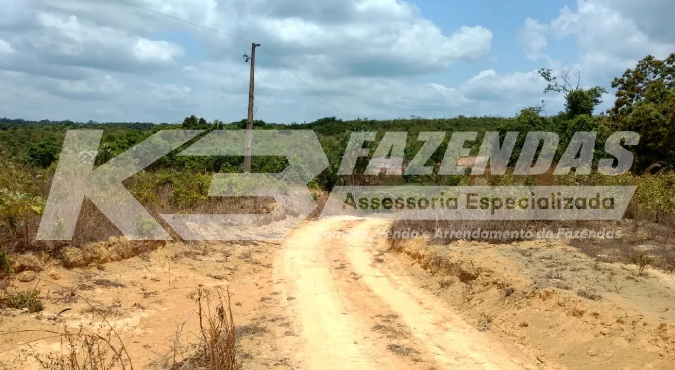 7628 HÁ | 2706,5 HÁ CONSOLIDADOS | PRÓXIMO A USINA DE ETANOL | ULIANÓPOLIS PA I PERMUTA POR IMÓVEIS NA REGIÃO SUL