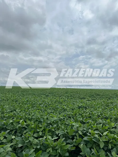 ARRENDAMENTO AGRÍCOLA | FORTALEZA DOS NOGUEIRAS – MARANHÃO