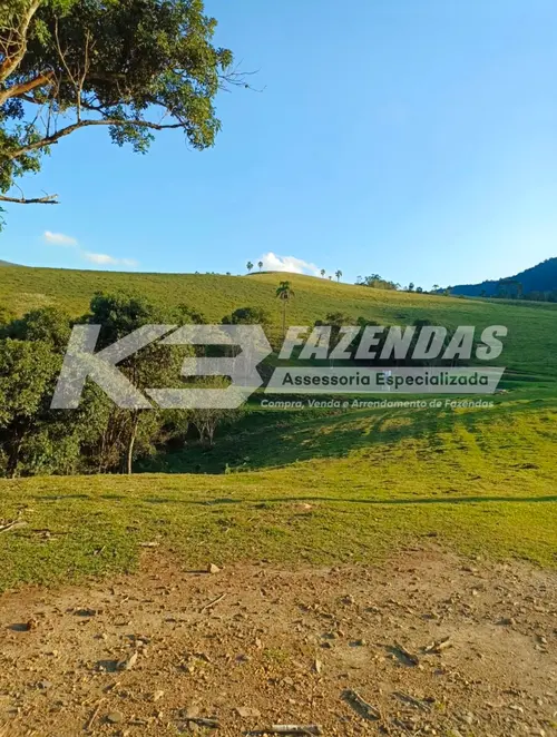 FAZENDA DUPLA APTIDÃO I PRUDENTÓPOLIS PR