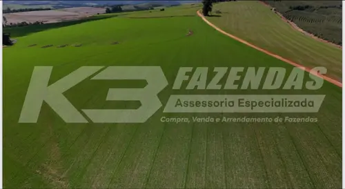 FAZENDA EM LAVOURA – REGIÃO NOBRE DOS CAMPOS GERAIS DO PARANÁ.