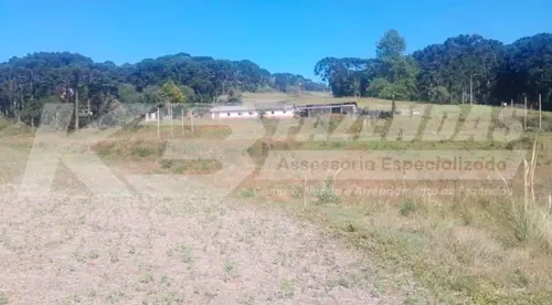 Fazenda formada em lavoura, leiteira e com potencial turístico – Guarapuava PR