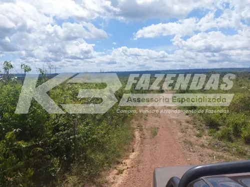 474,32 HÁ I FAZENDA DUPLA APTIDÃO À VENDA | ULIANÓPOLIS – PA