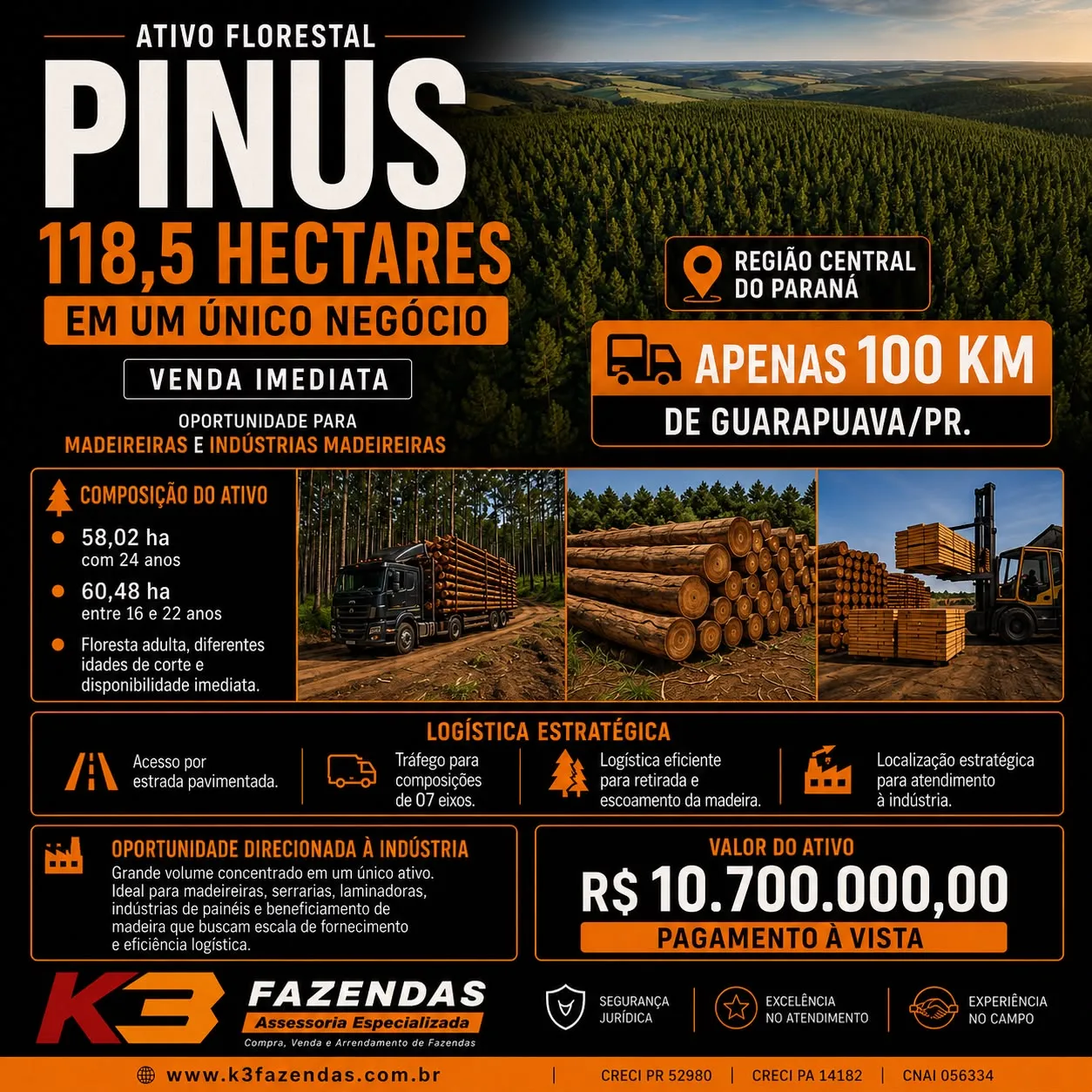 118,5 HÁ DE PINUS DISPONÍVEL PARA VENDA IMEDIATA I 100 KM DE GUARAPUAVA PR