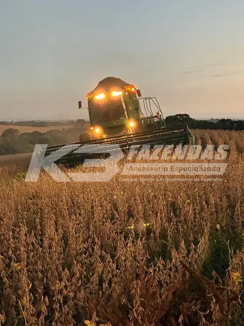 FAZENDA FORMADA EM LAVOURA | GUARAPUAVA – PR  500 HÁ I PERMUTA POR FAZENDA EM SINOP MT