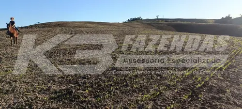 99 ALQUEIRES I DUPLA APTDÃO I PARANÁ