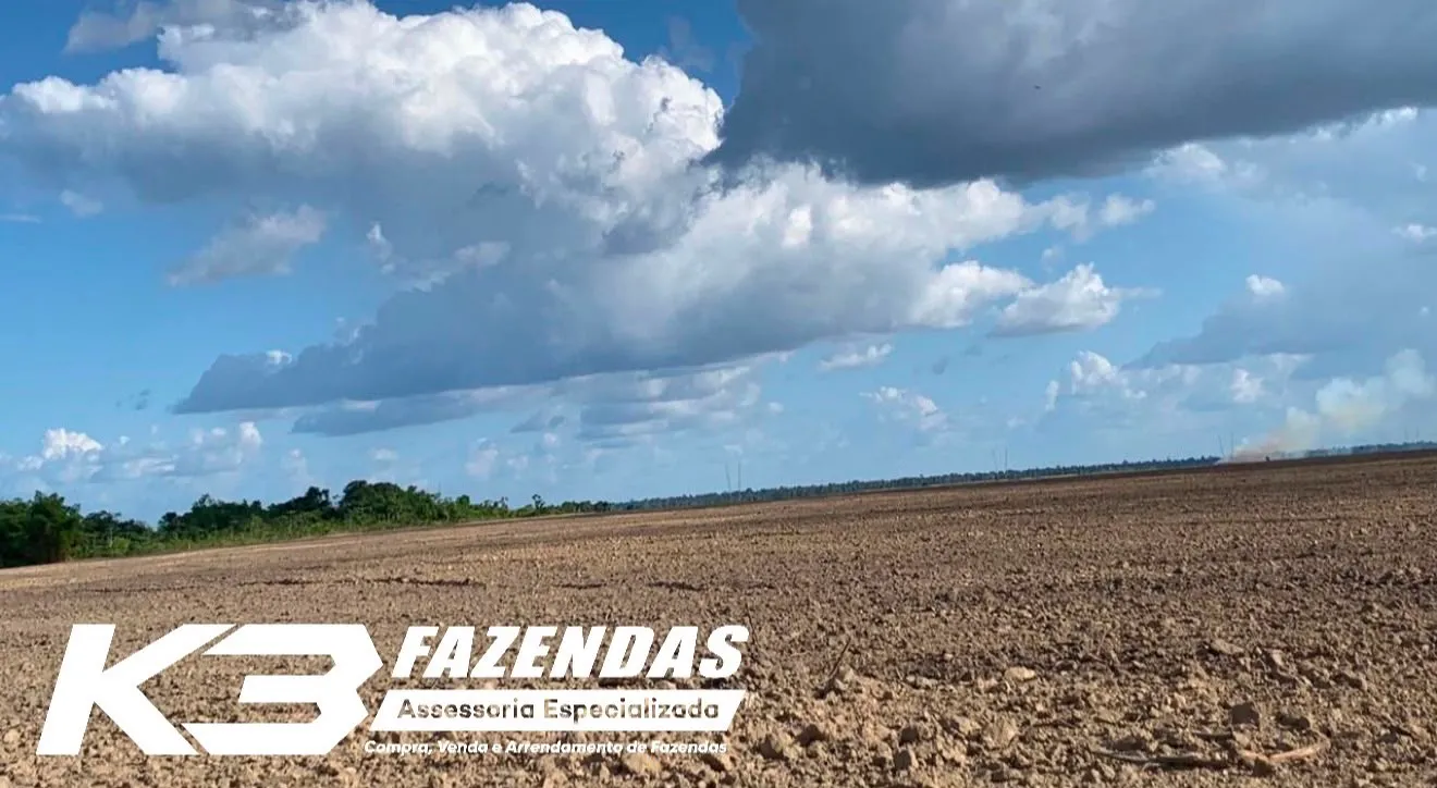 77 HÁ I 48 HÁ EM LAVOURA FORMADA I TAILÂNDIA PA