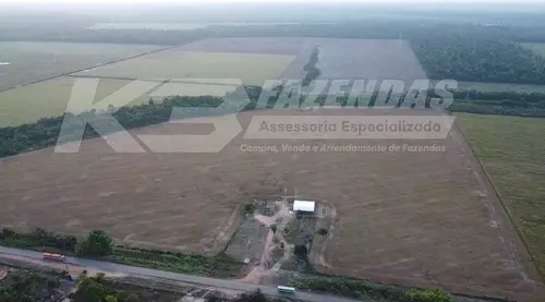 OPORTUNIDADE! 384 HÁ, 280 HÁ CONSOLIDADO EM LAVOURA I TAILÂNDIA PA.