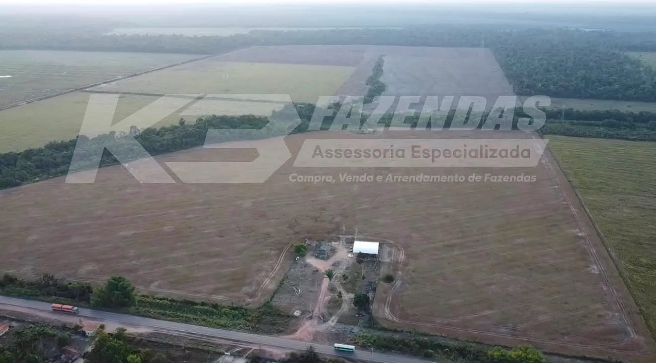 OPORTUNIDADE! 384 HÁ, 280 HÁ CONSOLIDADO EM LAVOURA I TAILÂNDIA PA.
