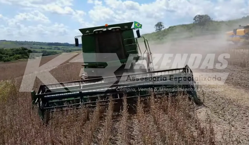 FAZENDA À VENDA – 248 ALQUEIRES (580,8 HÁ) I OESTE DO PARANÁ