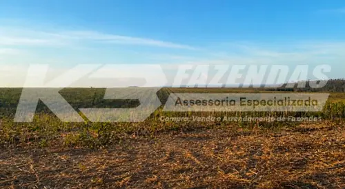 Arrendamento | Lavoura | Ulianópolis Pa